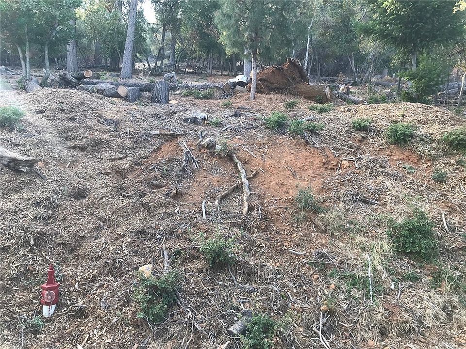 1st image of 3599 Pine Terrace Dr