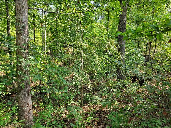 5th image of 0 Woodland Dr
