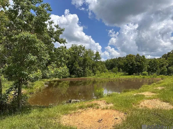 Loy Y 3 Old Norwood Wilson Rd, Wilson, LA 70789