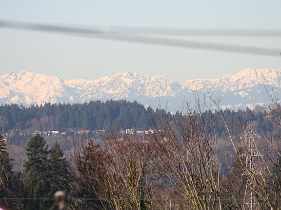 Olympic Mountain View from Front Window