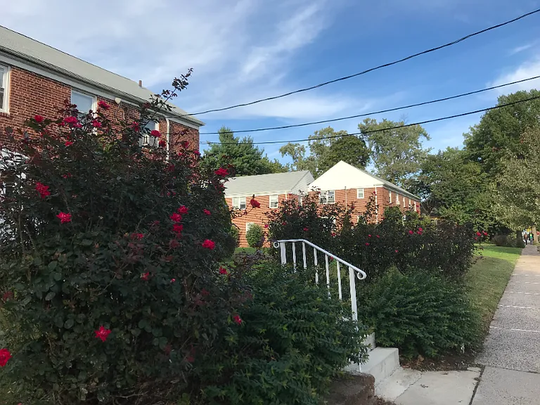 316 Magnolia St — Photo 13