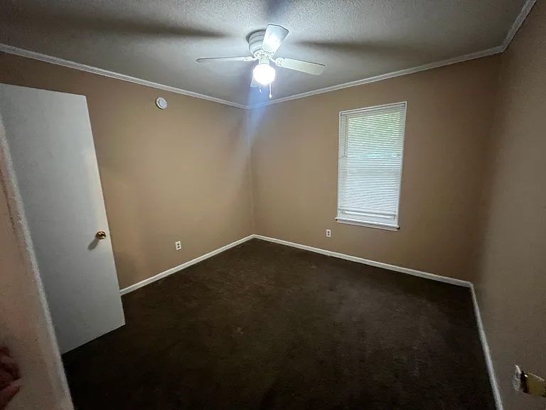 2413 Baywood Dr — Photo 9