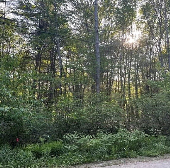 1st image of 151 Blueberry Dr