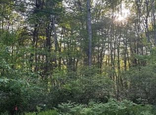 151 Blueberry Dr, Deposit, NY 13754