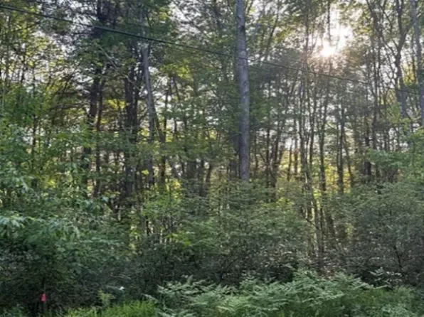 151 Blueberry Dr, Deposit, NY 13754