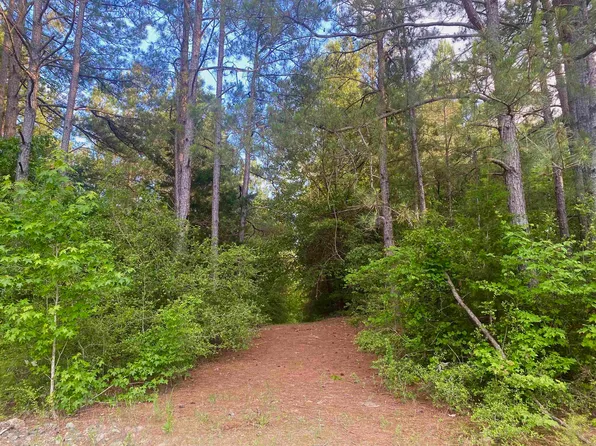 County Road 2132 N, Tatum, TX 75691