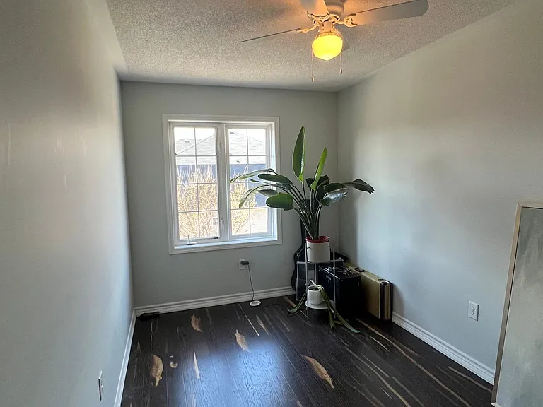 1129 Haig Blvd #5 — Photo 14