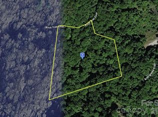 111 Birch Tree Cv, Franklin, NC 28734