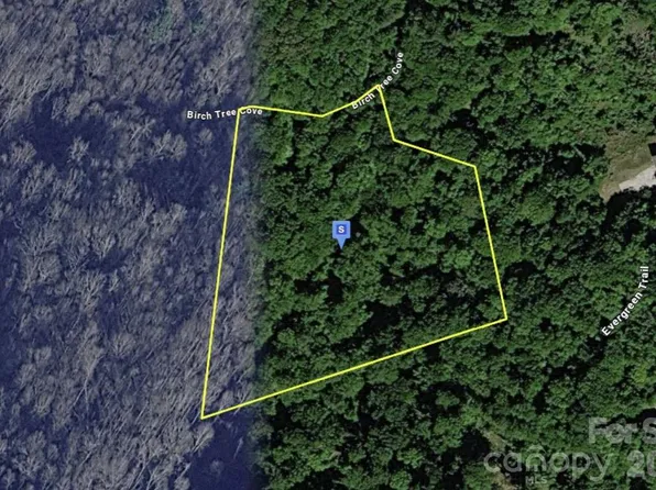 111 Birch Tree Cv, Franklin, NC 28734