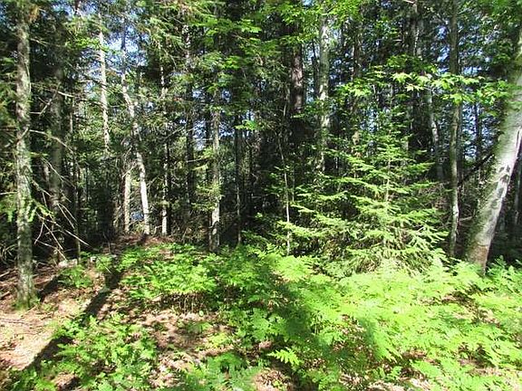 5th image of Wilson Lake Cir W Lot 7