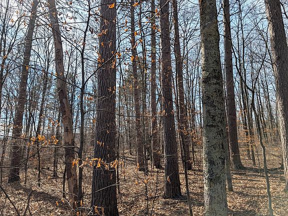 2nd image of 00 Larson Rd