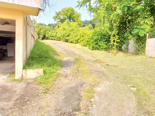 State Route 992 Km #5.2, Luquillo, PR 00773