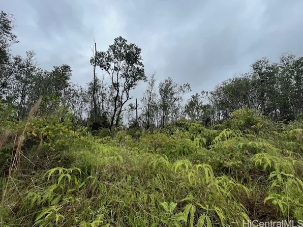 11-2860 Apuakehau Rd, Volcano, HI 96785