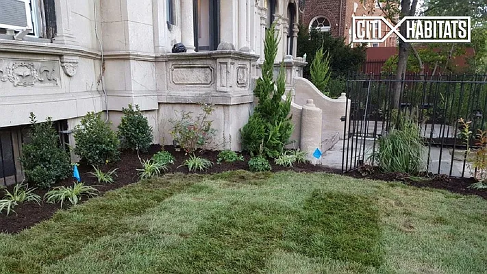 Rented by Citi Habitats | media 18