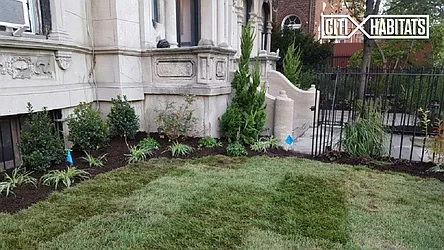 Rented by Citi Habitats