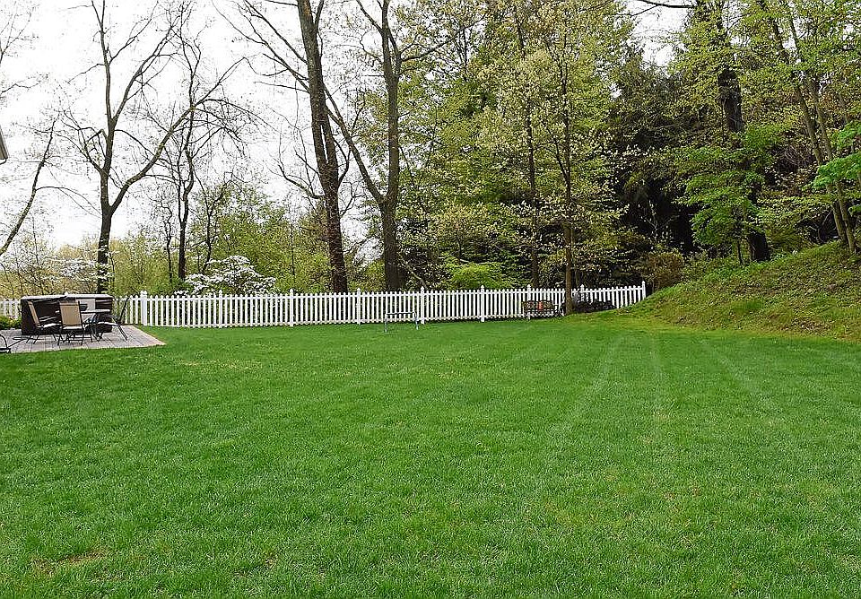 Beautiful back yard