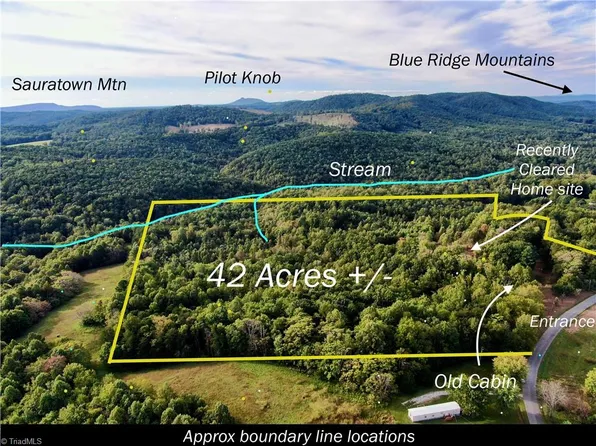 0 Pedigo Ridge Rd, Claudville, VA 24076