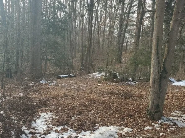 12701 Kain Rd, Glen Allen, VA 23059