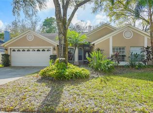 6616 Appaloosa Dr, Tampa, FL 33625