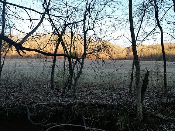 4th image of 3795 Wayland Springs Rd