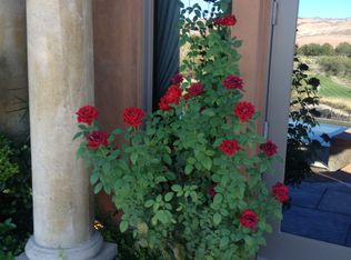 15 Rue Du Rivoli Pl, Henderson, NV 89011