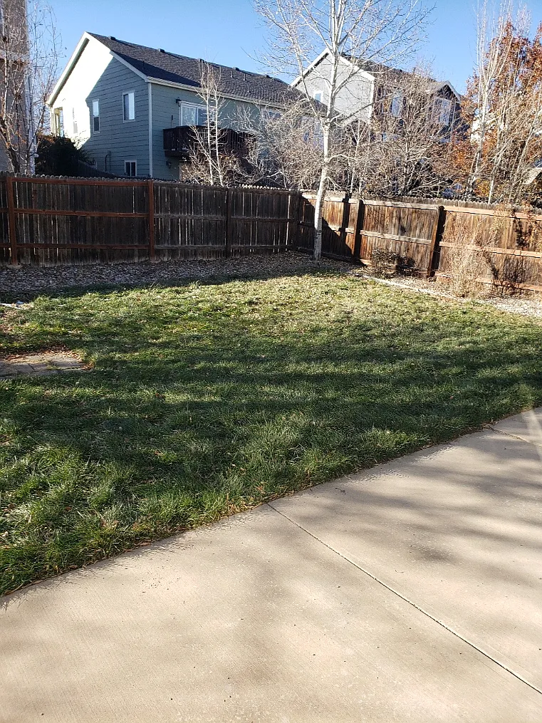 5 bed, 2.5 bath, 3072 sqft, $2,695 — Photo 3