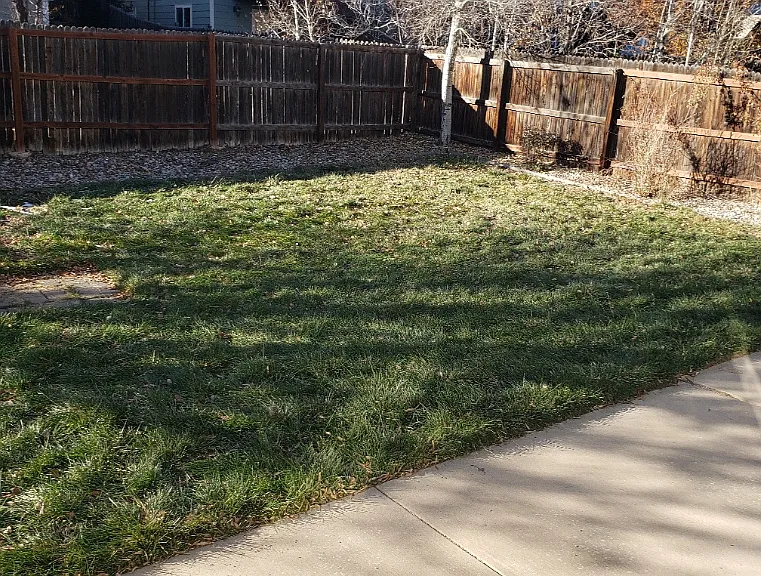 6422 Elsinore Dr — Photo 3