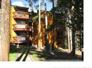 1100 Ski Hill Rd #E32, Breckenridge, CO 80424