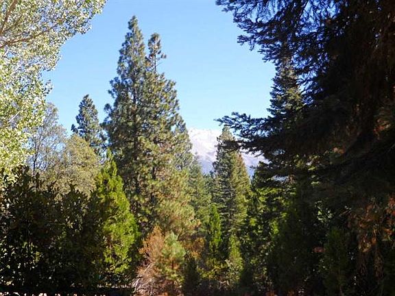 3rd image of 7824 Ponderosa Dr