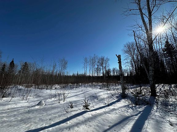 2nd image of 8333 Solberg Lake Rd