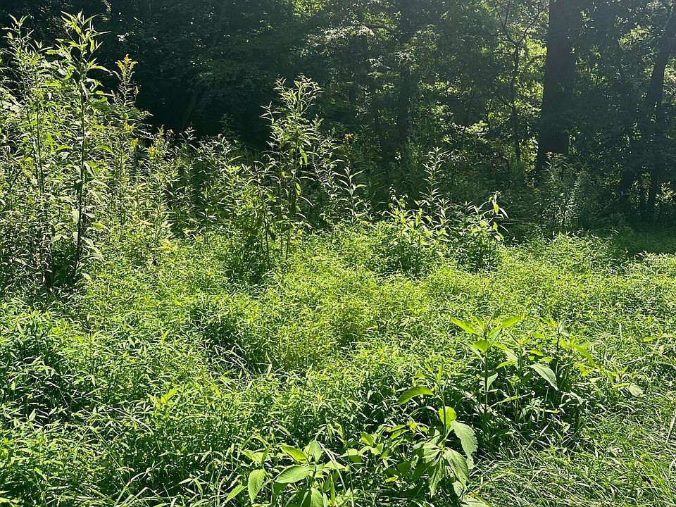 2nd image of 0 Callaway Rd