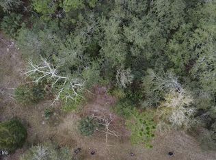 1252 Old Highway 17, Crescent City, FL 32112