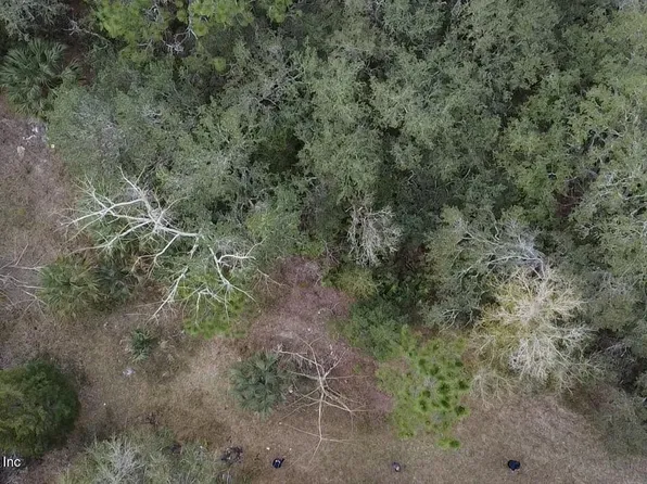 0000 UNASSIGNED, Palatka, FL 32177