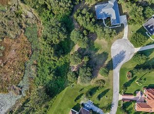 18353 Great Blue Heron Dr, Groveland, FL 34736