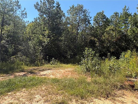 2nd image of 2326 County Road 55