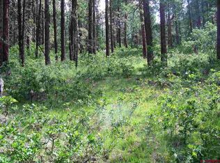 294 Hillside Dr, Bayfield, CO 81122