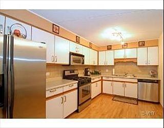 3rd image of 8560 W Foster Ave Unit 305