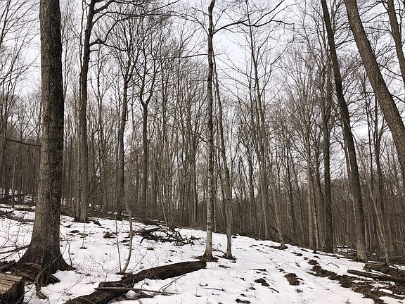 2nd image of Township Road 56 NE