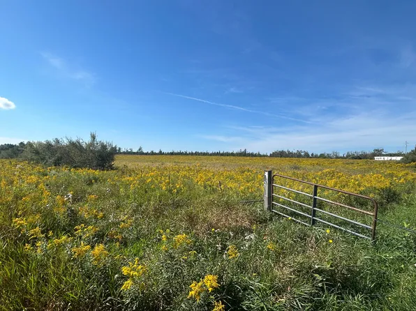 V/l Coville Rd, Lincoln, MI 48742