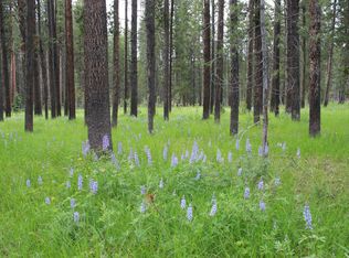 27555 N Whetstone Rd, Moran, WY 83013