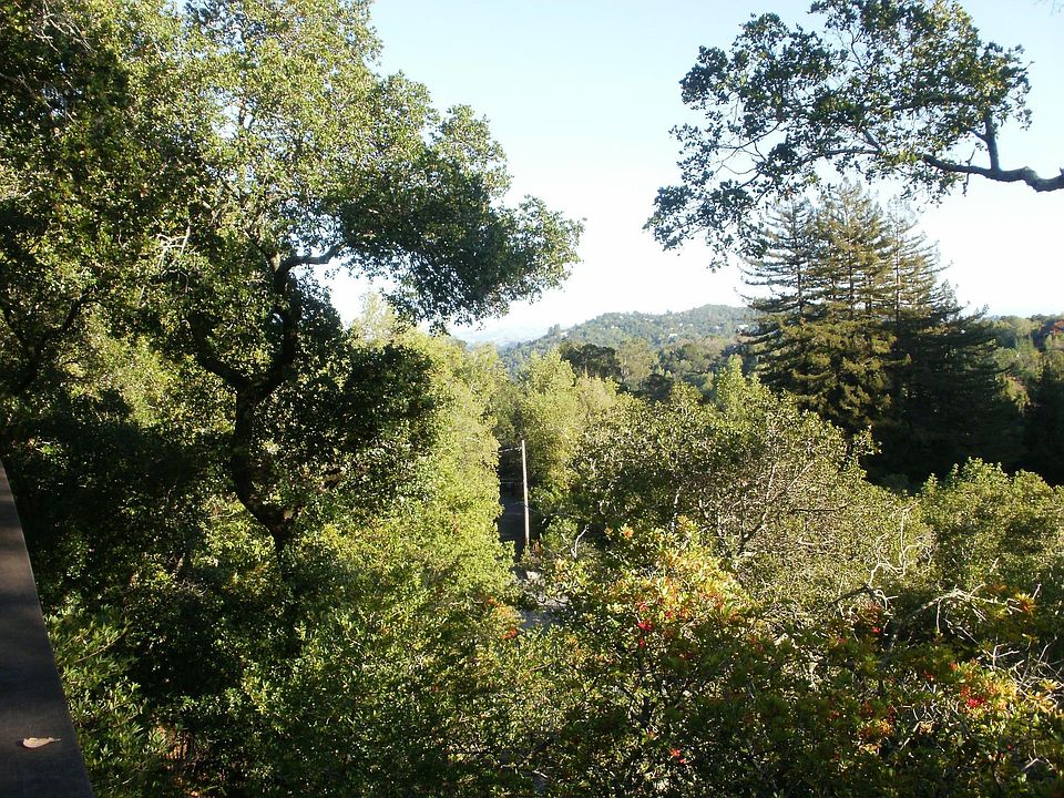View from Deck