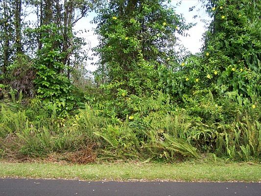 2nd image of Ohia Dr