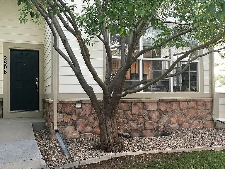 2806 Whitetail Cir — Photo 1