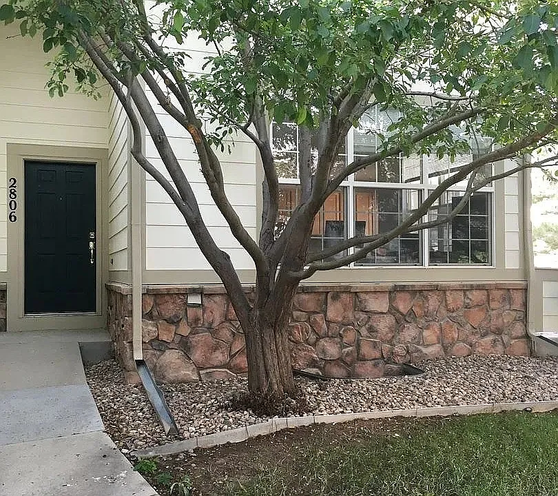 2806 Whitetail Cir