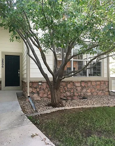 2806 Whitetail Cir Photo 1