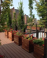 Rented by CiCi Realty Corporation