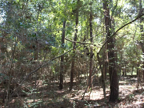 LOT MAGNOLIA Two #36-19, Trinity, TX 75862