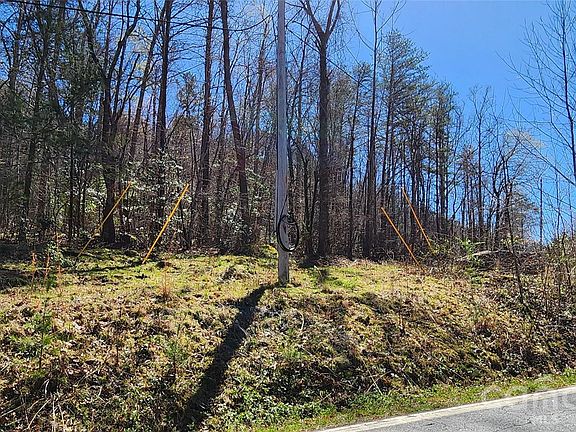 3rd image of 0 Buffalo Creek Rd #74