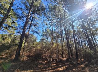 286 County Road 3300, Colmesneil, TX 75938