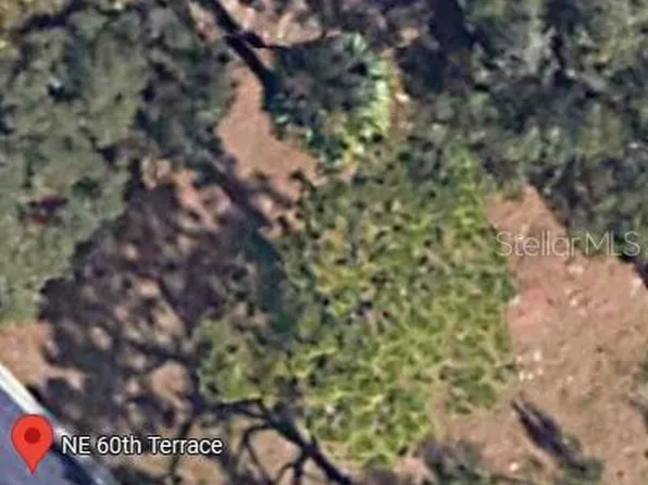 NE 60th Ter Lot 39, Silver Springs, FL 34488
